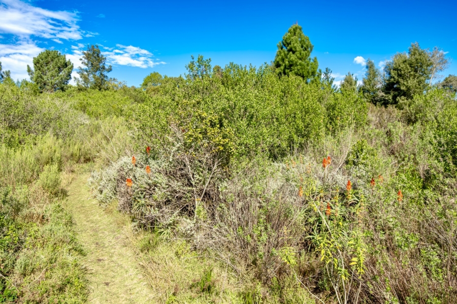  Bedroom Property for Sale in Wilderness Heights Western Cape
